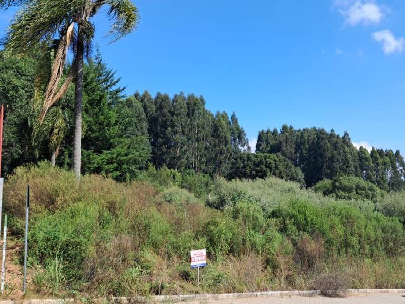 Lote Monte Giallo