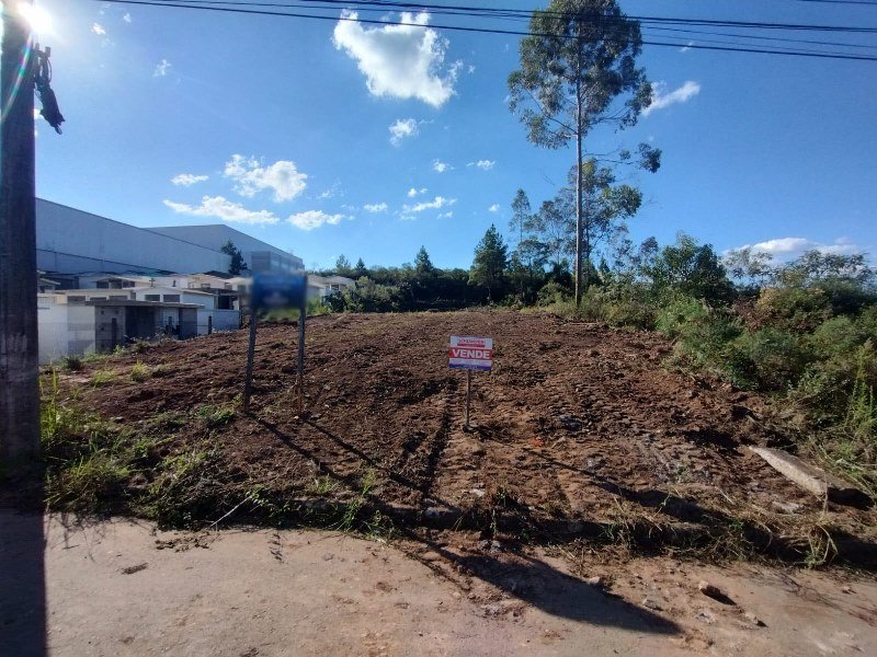 Lote Nova Roma