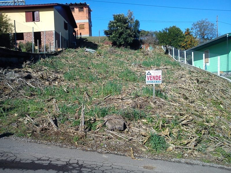 Lote Pedancino