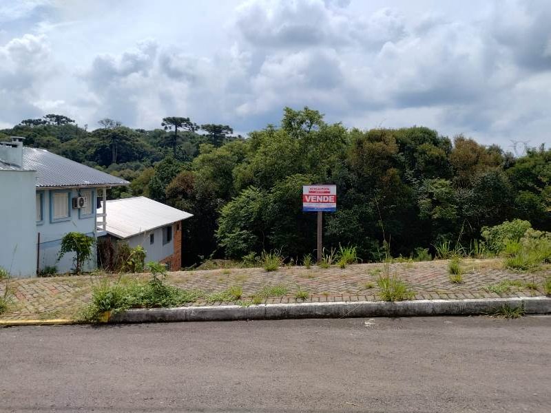 Terreno Altos de Flores