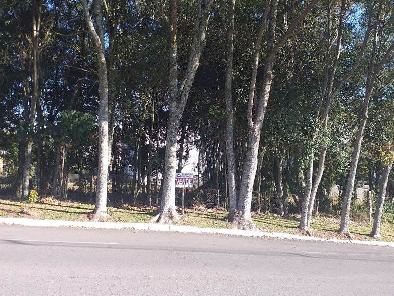 Lote São José