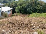 Foto 2:Terreno Altos de Flores