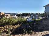 Foto 1:Terreno Videiras