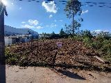Foto 1:Lote Nova Roma