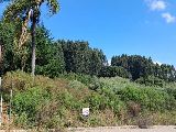 Foto 1:Lote Monte Giallo