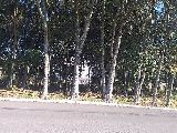Foto 1:Lote So Jos
